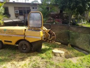 large yellow stump grinding machine with stump grinder poised over the stump and a black mesh safety gate