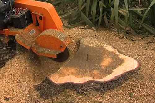 stump removal