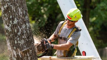 closeup image of man standing in a cherry picker using a chain saw for tree removal in San Marcos