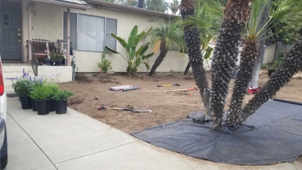 photo of front yard with palm trees and partial weed barrier being installed before adding more plants